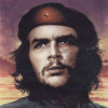 1988105 Stephen