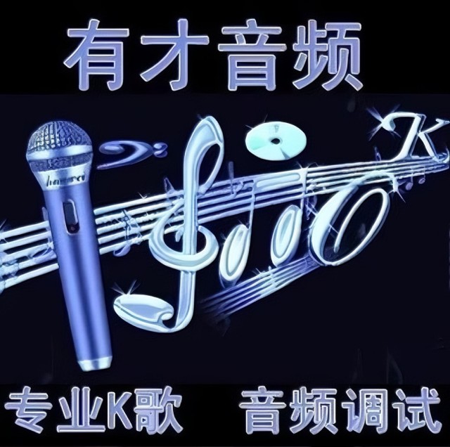 1988257 有才音频
