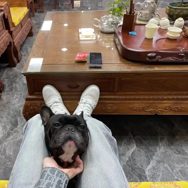 1990790 妖孽白