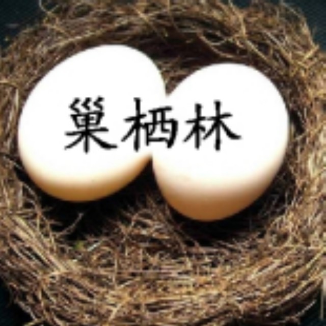 1991202 巢栖林