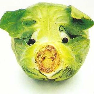 1991313 ゞ尛猪猪ヤ‭◕̯͡◕‘