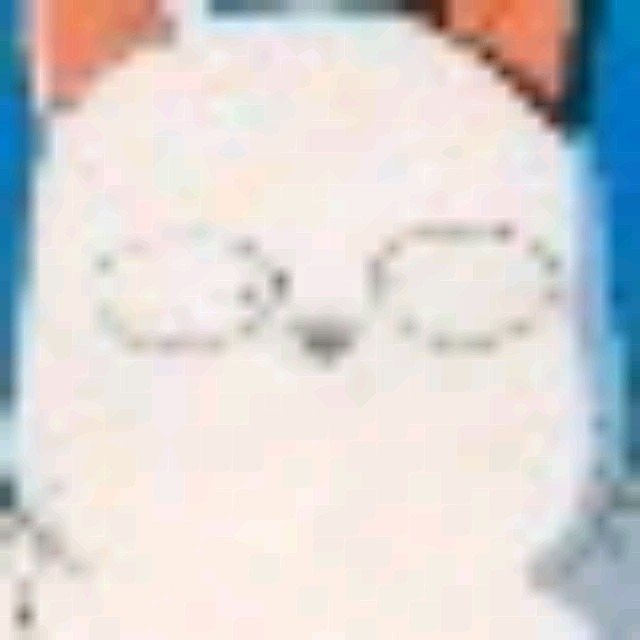 1991326 被炉猫