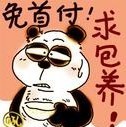 1991860 努力赚钱