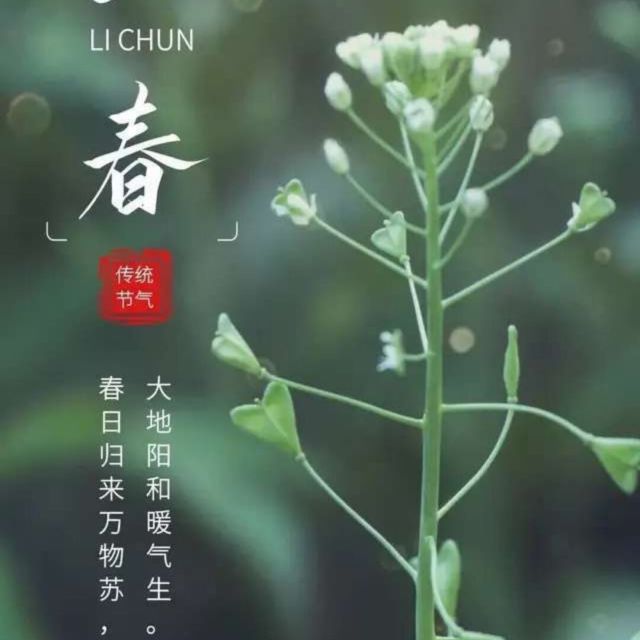 1992698 思远