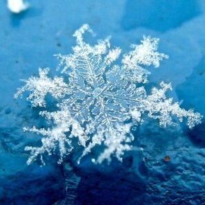 1993092 雪原