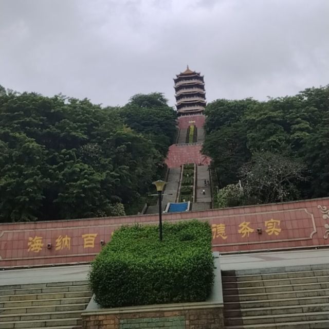 1993361 大青蛙
