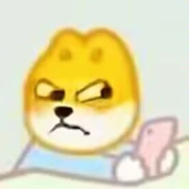 1995211 在路上