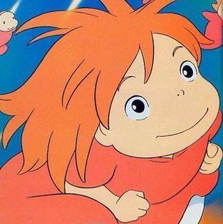1995846 甲娘