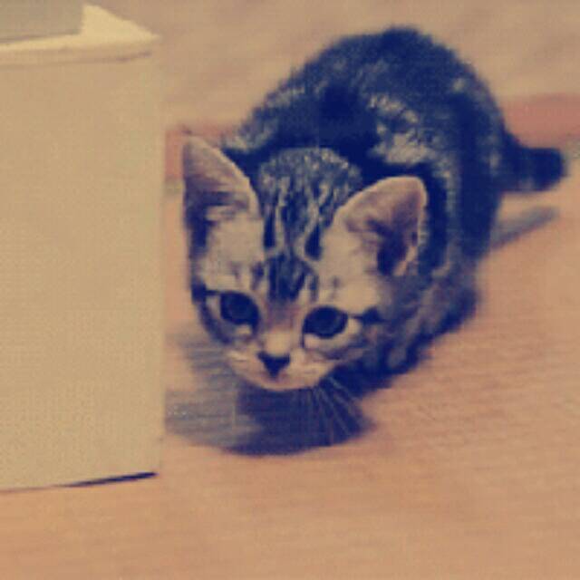 1996317 ぅ児.