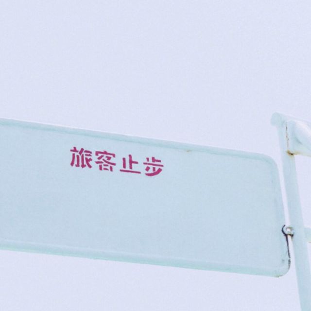 1998855 梧桐