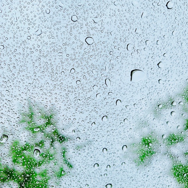 199968 清Ω枫≡V