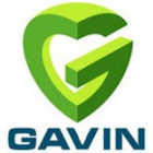 1999735 Gavin