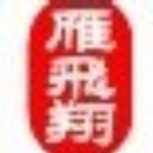 200430 雁飞翔