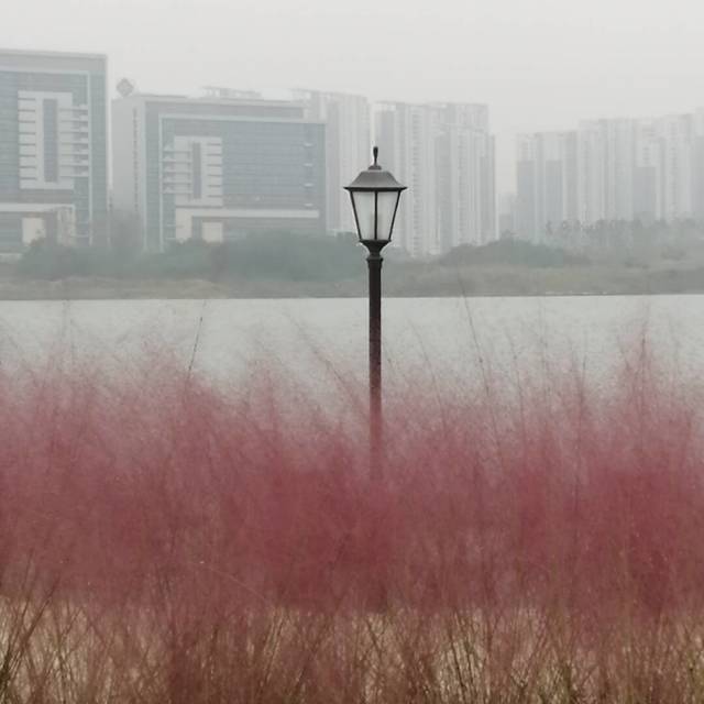 205971 云飞扬