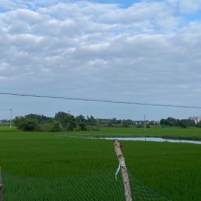 206000 豆豆