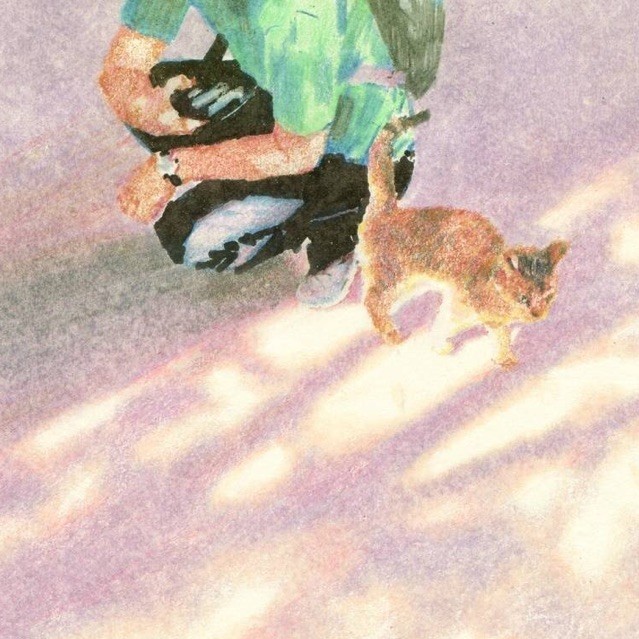 206005 一椰子