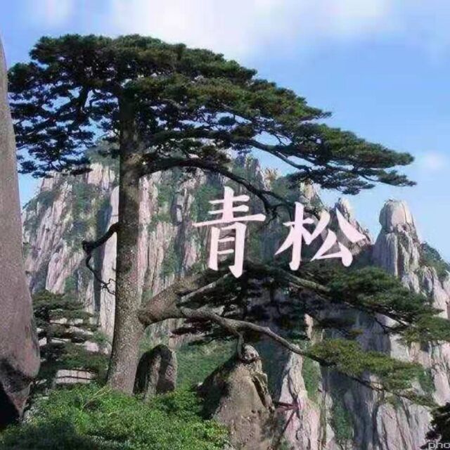 206110 【雾♧松】