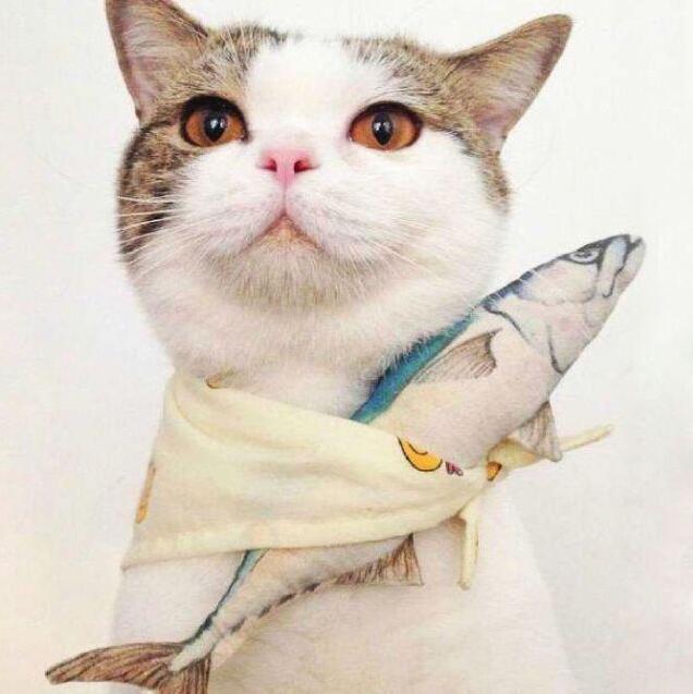 206153  