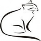 206394 PUSICAT