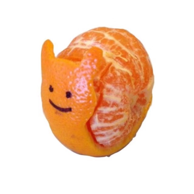 2075508258 神父