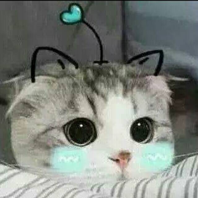 2141734425 小情绪〆