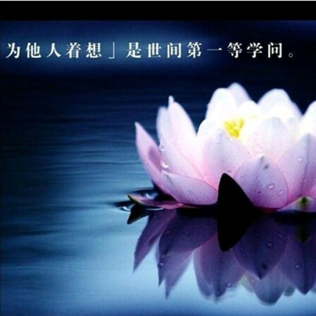 216225 若水