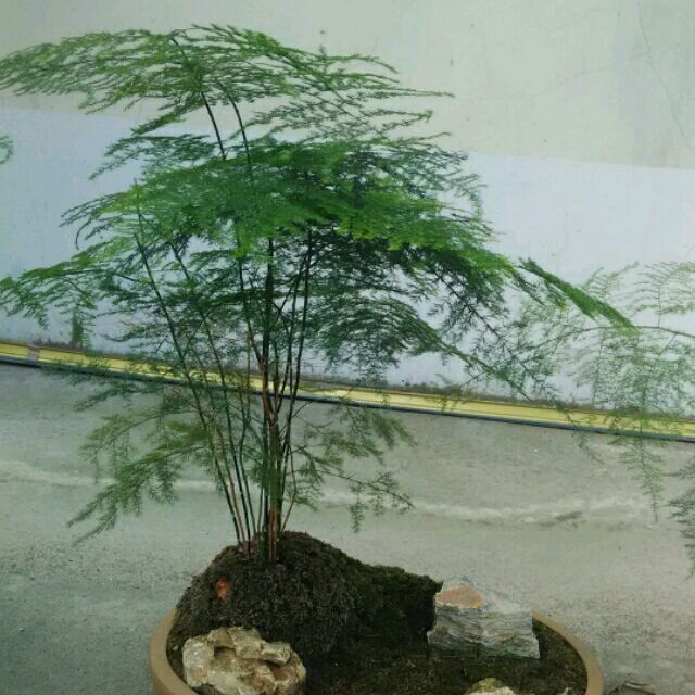 216448 心好累