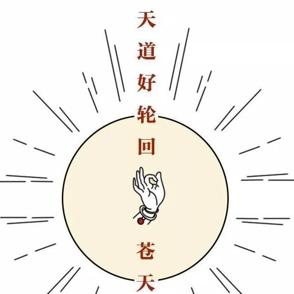 216563 金闪电