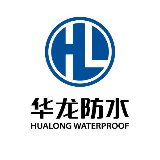 216616 华龙