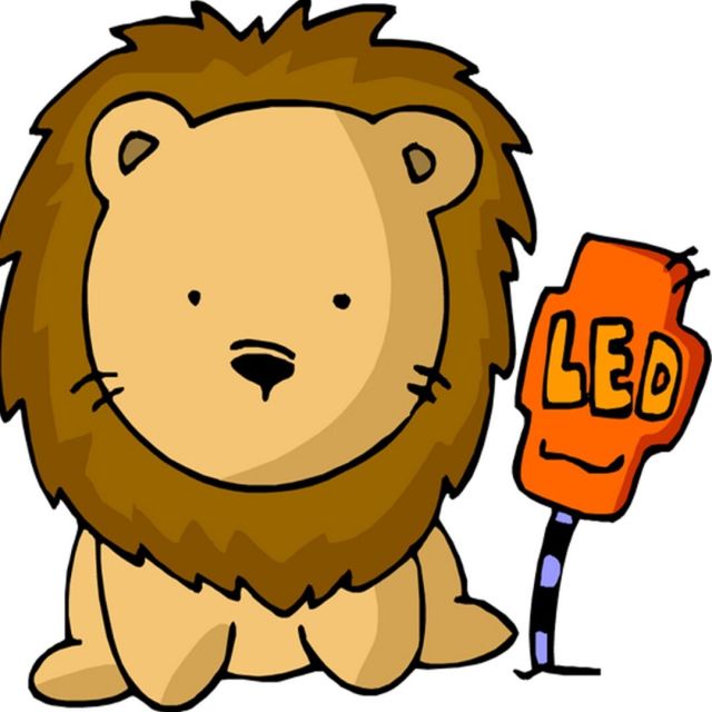 216621 LEO