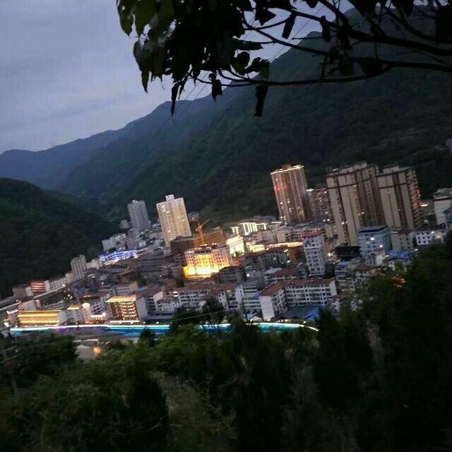 216819 九尾鱼