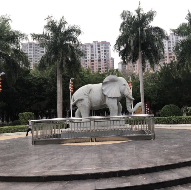 216889 张远祥