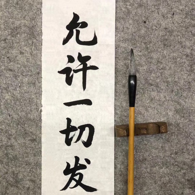 21701297 ㅤ一生的挚爱