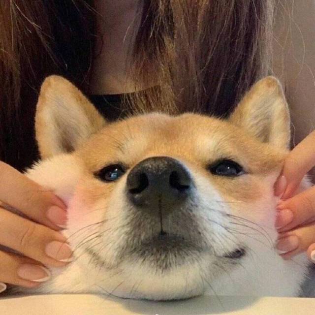 2175338464 青柠