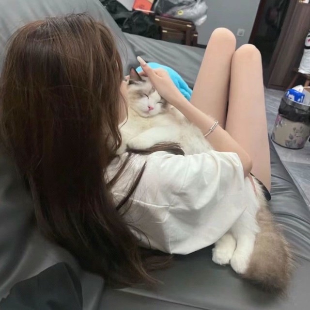 2207423901 说欢