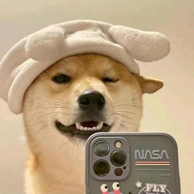 2268961235 森屿麋鹿