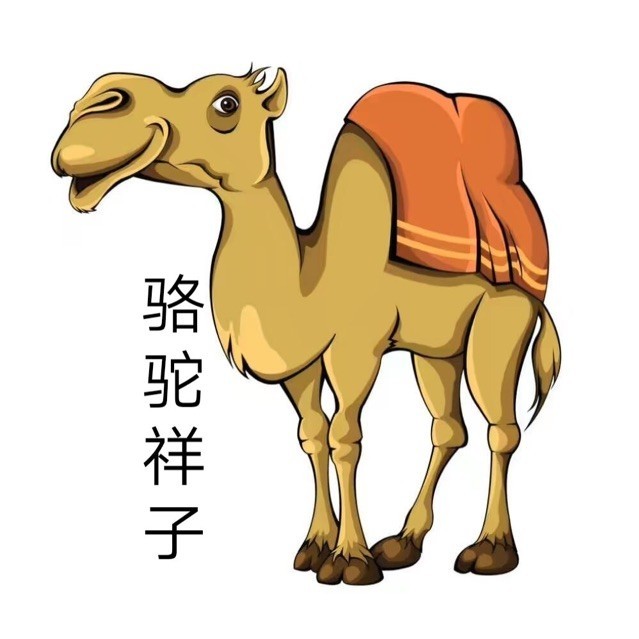 228205 骆驼祥子