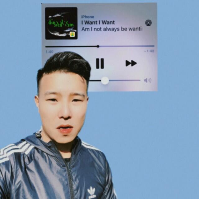 228314 Luvsicpt3