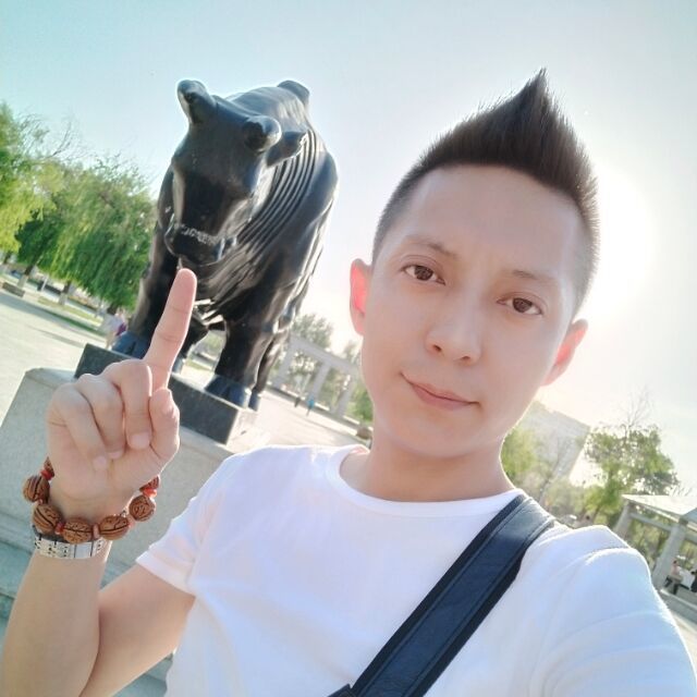 228457 ◢︻诚诚..~牛.气.冲.天.~