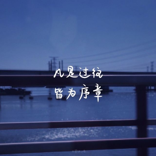 228463 夜的诗人