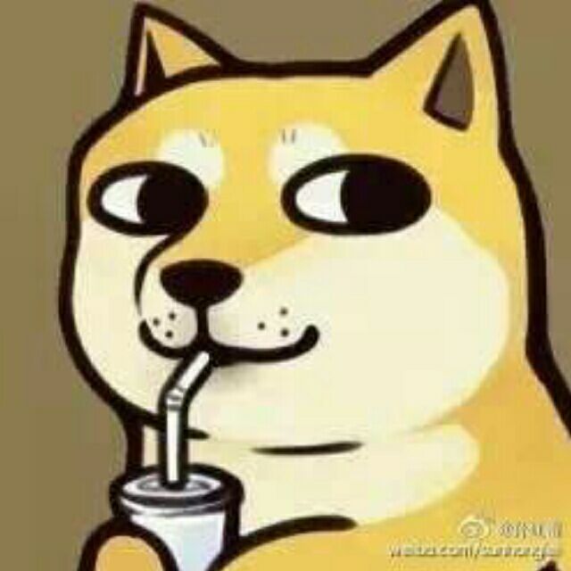 228466 小花猪