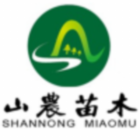228628 山农苗木 ✅实力商家已认