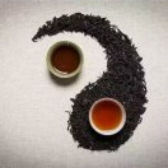 228640 楚天舒