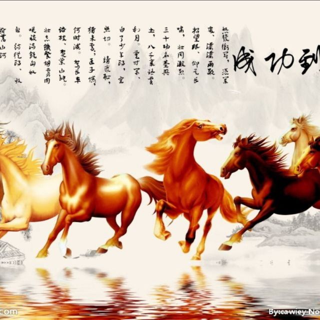 228936 蓝潮