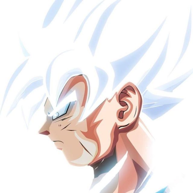 229038  释
