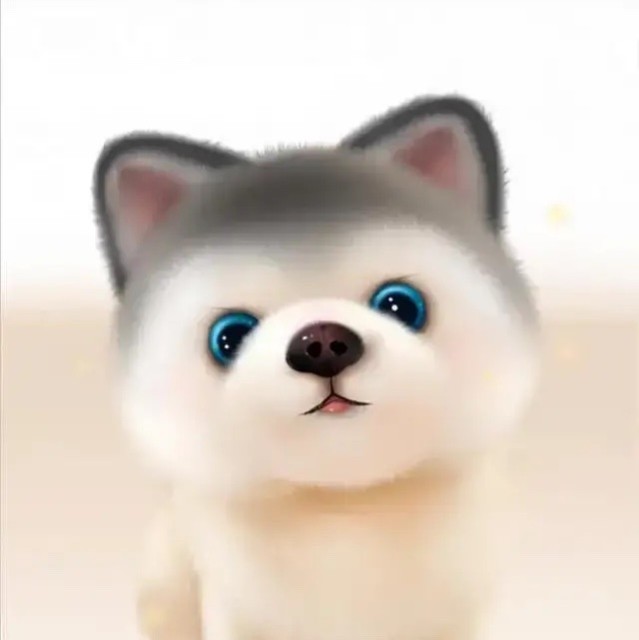 229087 浅笑