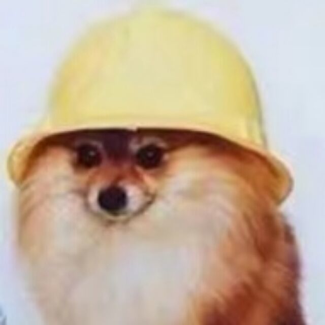 229277 周异
