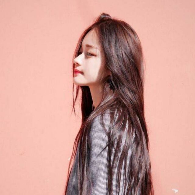 229587 一表霏凡
