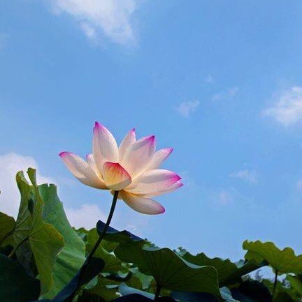2320583 静守『安然。