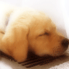 2322646 走吧~
